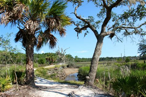 Skidaway island state park - Skidaway Island State Park provides one of Savannah's closest camping opportunities. The environment is shady maritime forest--pines, oaks, and palmettos--near the estuarine marsh of Georgia's Intracoastal Waterway. In this compact park, the campground is central to all destinations. Hiking trails, playground, picnic …
